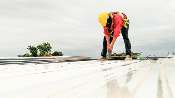 Best Roof Installation  in Fallon, NV